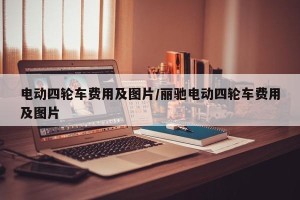 电动四轮车费用及图片/丽驰电动四轮车费用及图片