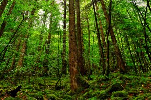 分享干货“微乐麻将万能开挂器”挂辅助教程
