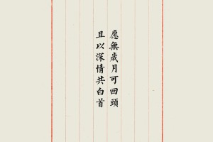 分享干货“财神十三张辅助器”详细教程辅助工具