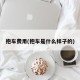 抱车费用(抱车是什么样子的)
