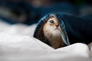 poker透视开挂“微信四川麻将小程序猫腻”爆光开挂猫腻