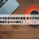 【新中式卧室电视墙效果图,新中式装修电视墙效果图大全2020图片】