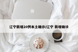 辽宁新增20例本土确诊/辽宁 新增确诊