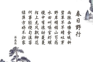玩家综述“小程序泸州大贰有挂吗”开挂详细教学