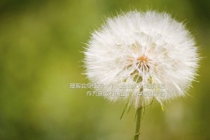 推荐一款“牌乐门开挂辅助器”(确实是有挂)-知乎!