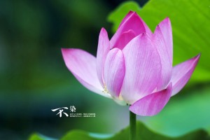科普知识“微乐四川麻将小程序必赢神器安装(外卦神器下载)