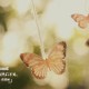 科普实测“微信干瞪眼小程序辅助器”附开挂脚本详细教程-知乎