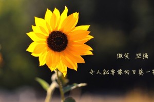终于找到"微乐斗地主小程序必赢神器”(原来确实是有挂)