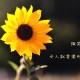玩家点评“小程序雀神麻将开挂神器版”附开挂脚本详细步骤