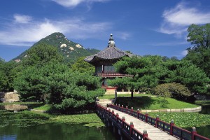 教程辅助！“德扑之星透视软件方法”(原来确实是有挂)