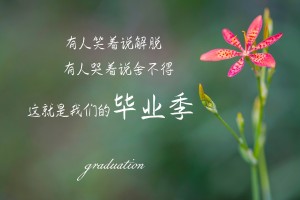 我来告诉你“雀神麻将助赢神器”分享装挂步骤