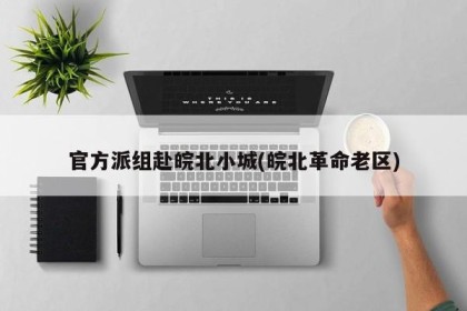官方派组赴皖北小城(皖北革命老区)