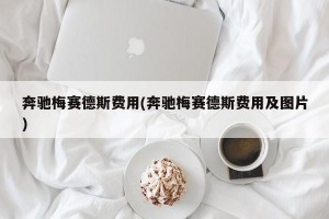奔驰梅赛德斯费用(奔驰梅赛德斯费用及图片)