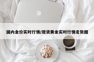 国内金价实时行情/现货黄金实时行情走势图