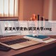 武汉大学定协/武汉大学cmg