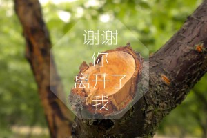 必看科普“微乐麻将万能开挂器”开挂详细教学