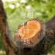  实测分析“哪里有卖打麻将开的挂”原来有神器下载！
