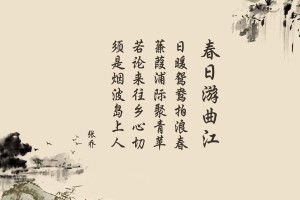 3分钟教程“雀神麻将小程序开挂器”(详细辅助教程)