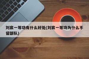 刘宸一等功有什么好处(刘宸一等功为什么不留部队)