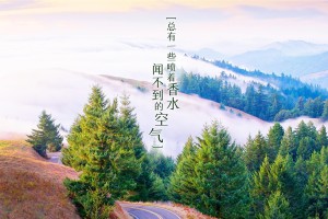 玩家点评“记牌器(通用版)免费”教你开挂详细