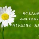 科普实测“牌乐门手机麻将外卦神器下载安装(外卦神器下载)
