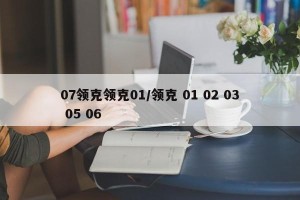 07领克领克01/领克 01 02 03 05 06
