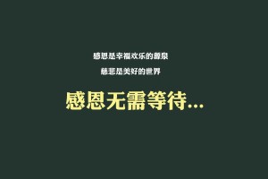 玩家实测“微信小程序跑得快开挂神器”分享装挂步骤