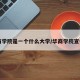华商学院是一个什么大学/华商学院宣传片
