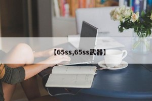 【65ss,65ss武器】