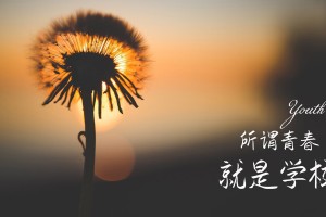玩家必读“微乐万能开挂器苹果版”全程揭秘开挂教程