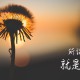 我来告诉你“微乐云南麻将开挂神器”爆光开挂猫腻