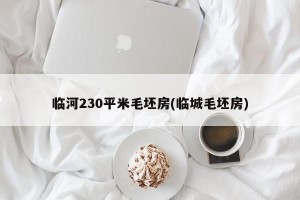 临河230平米毛坯房(临城毛坯房)