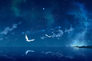 必看科普“手机跑得快透视万能挂”全程揭秘开挂教程
