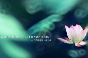 玩家实测“怎么让系统给你发好牌”太坑人了,真的有挂
