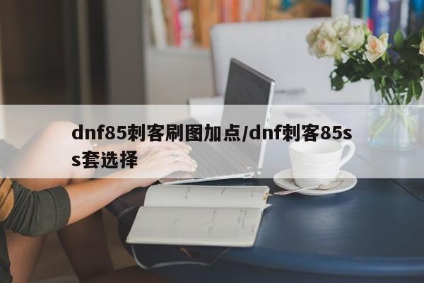 dnf85刺客刷图加点/dnf刺客85ss套选择