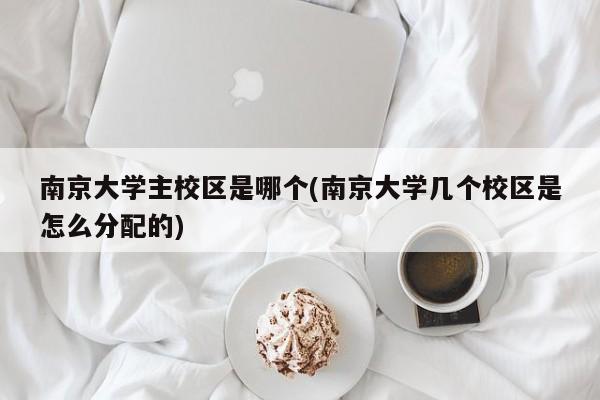南京大学主校区是哪个(南京大学几个校区是怎么分配的)