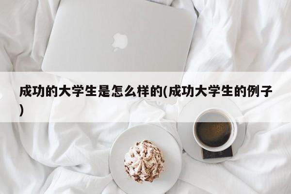 成功的大学生是怎么样的(成功大学生的例子)